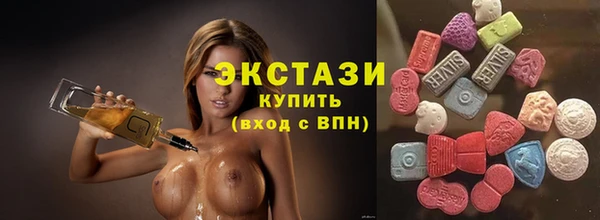 стаф Карпинск