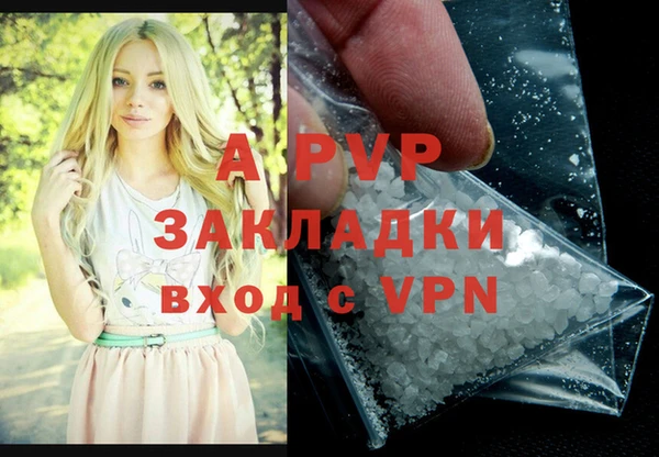 стаф Карпинск