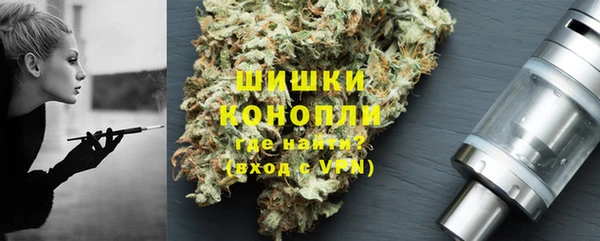 стаф Карпинск