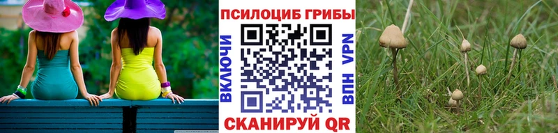 Купить  Протвино  Галлюциногенные грибы прущие грибы 